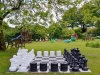 chess-set-800x646