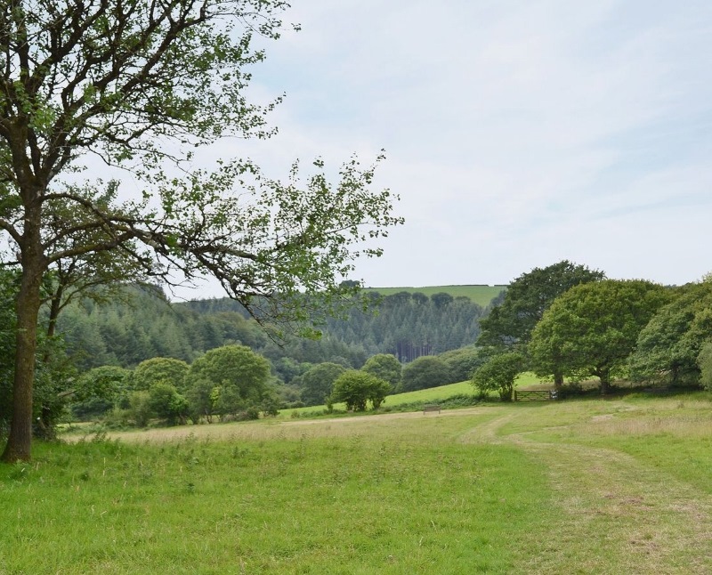 lower-meadow-800x646